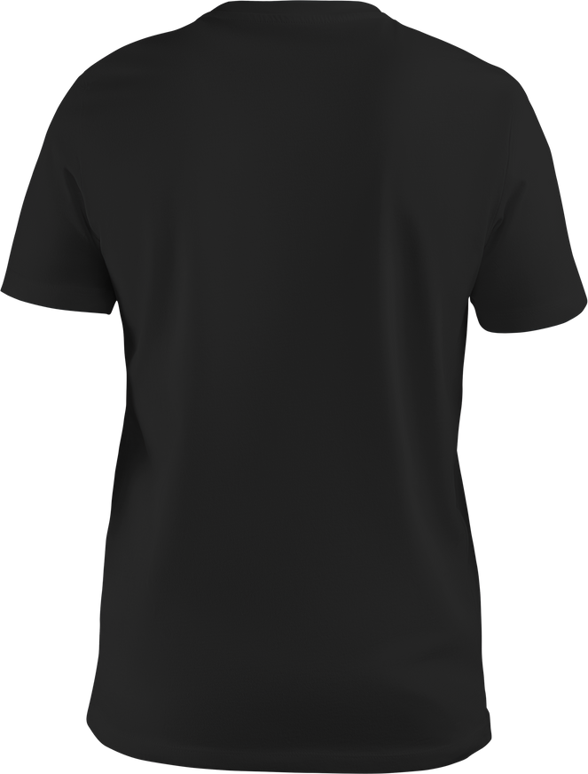 Black unisex t-shirt mockup, canvas bella, 3D rendering, png, back